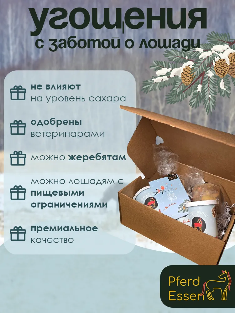 Новогодний полезный бокс угощений для лошадей PferdEssen (ликиты, козинаки, печенье)