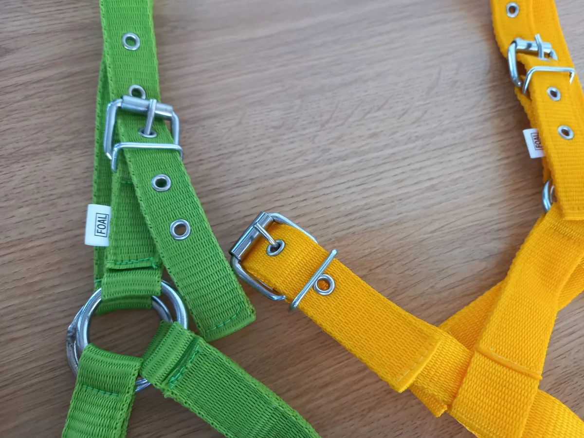 Недоуздок нейлоновый для жеребят, желтый