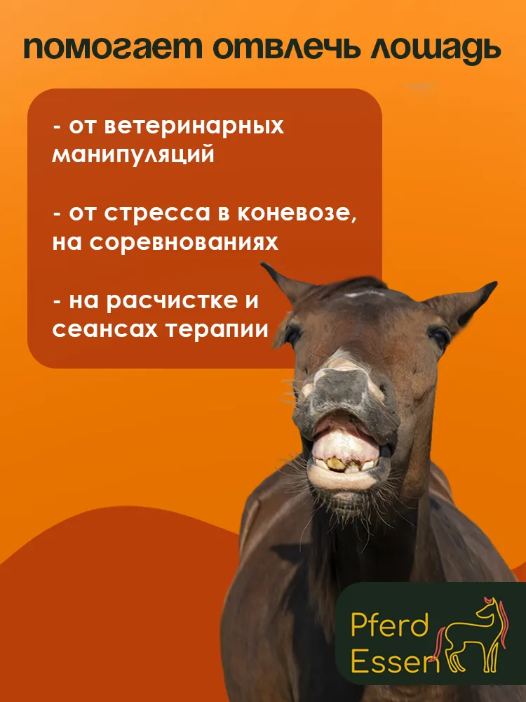 Лизунец (ликит) из сахара тыквенный 840гр PferdEssen