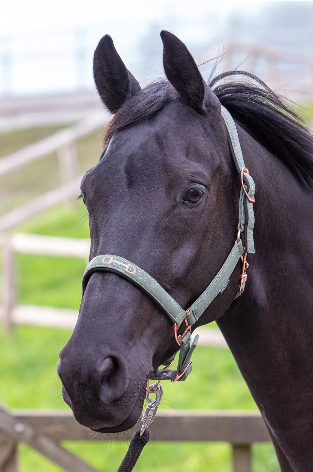 Недоуздок для лошади Bit (Harry's Horse Голландия)