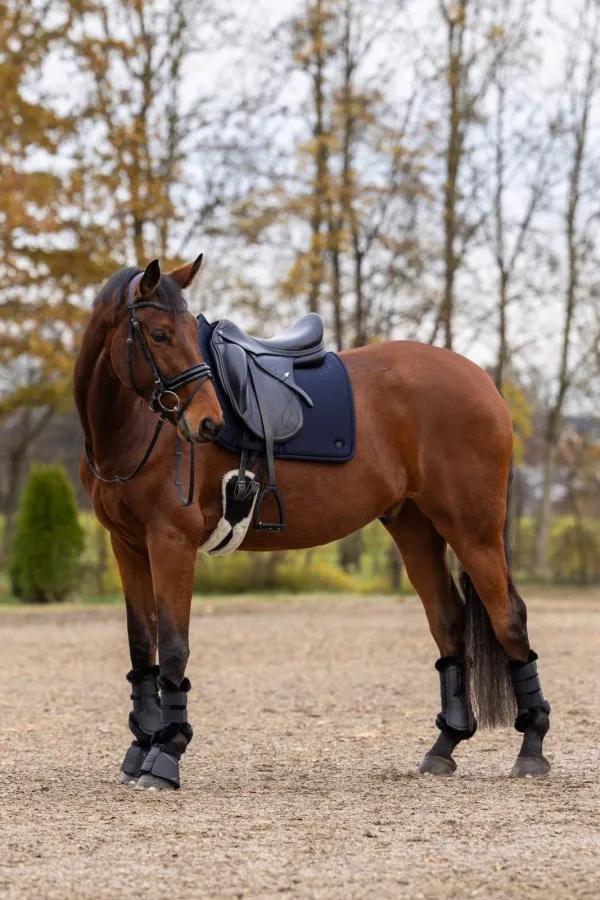 Вальтрап выездковый Memory Ride