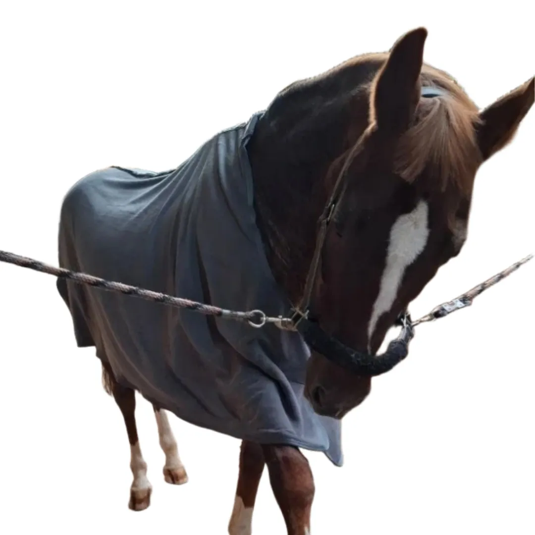 Попона без ремней Alexandra