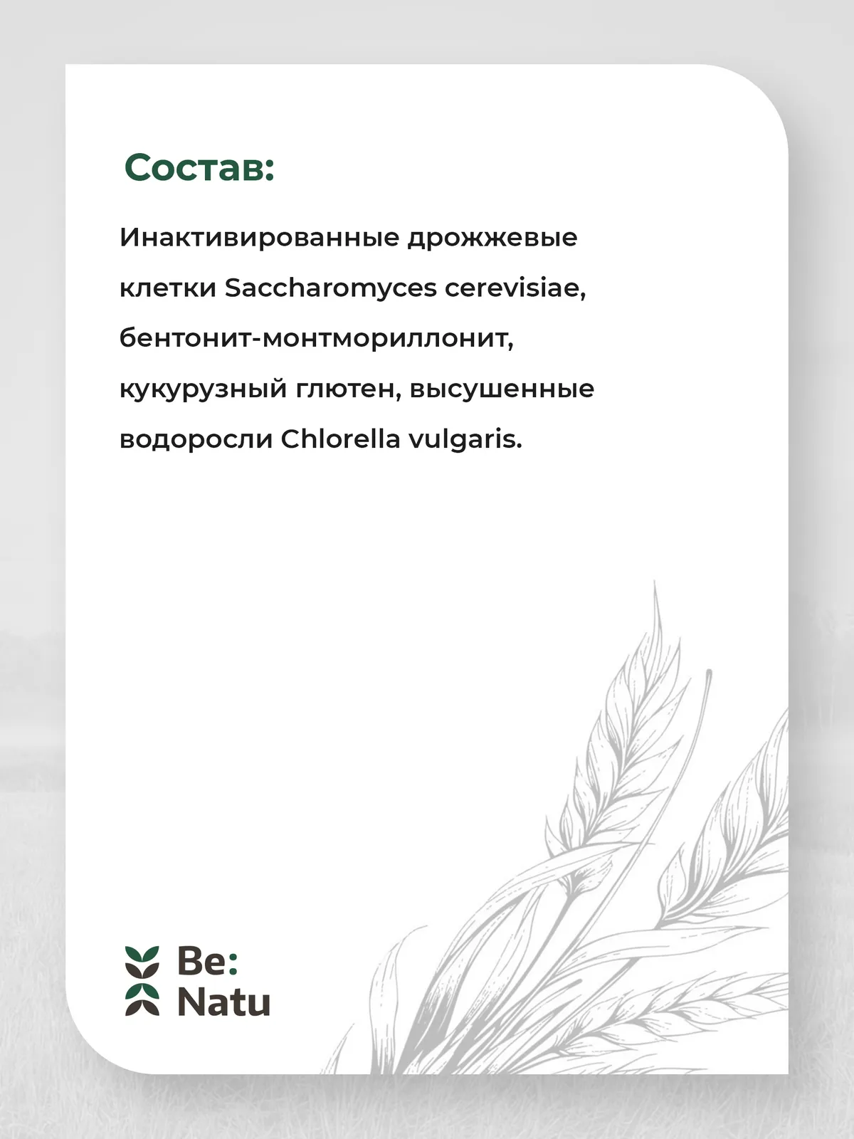 Mycosorb A+ 1кг