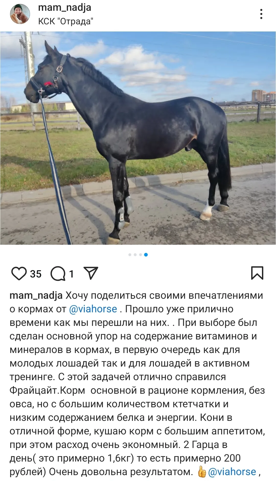 Концентрированный корм для лошадей в разведении и работающих лошадей VIAHORSE (ВИАХОРС) РЕСУРС (20 кг)