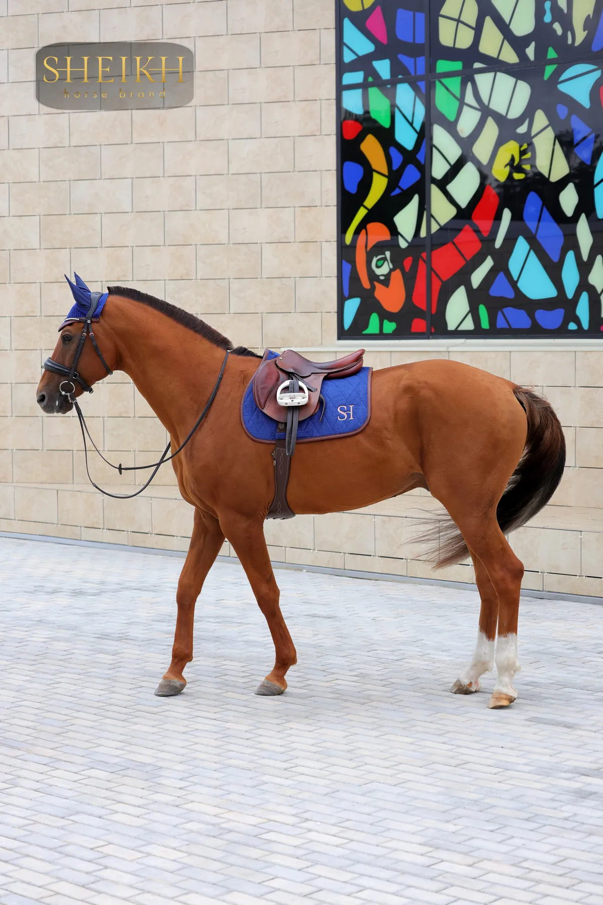 Вальтрап конкурный для верховой езды, конного спорта SHEIKH HORSE BRAND, коллекция FOREST, синий