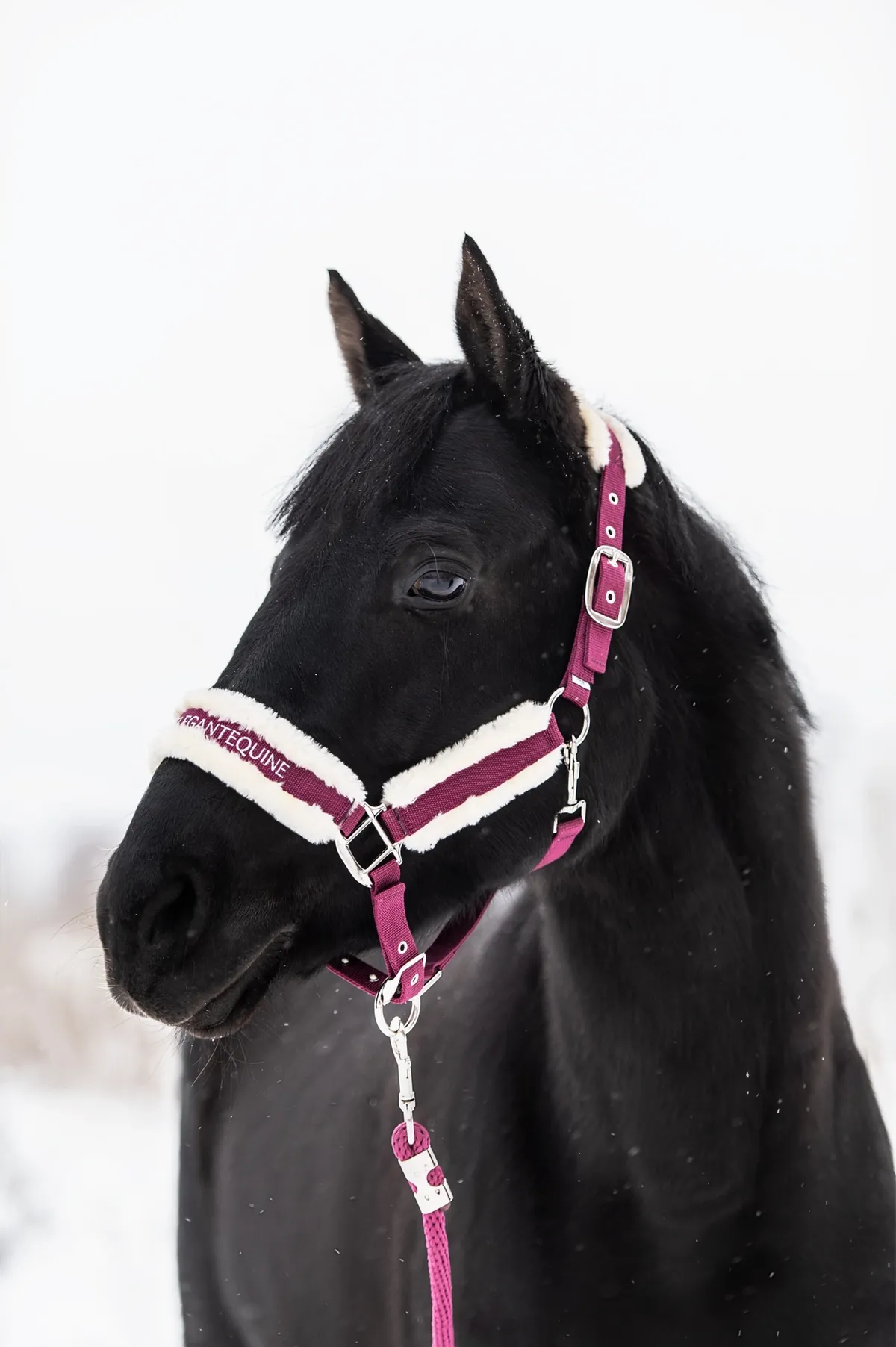 Недоуздок с искусственным мехом и чомбур из коллекции Magic II от Elegant Equine