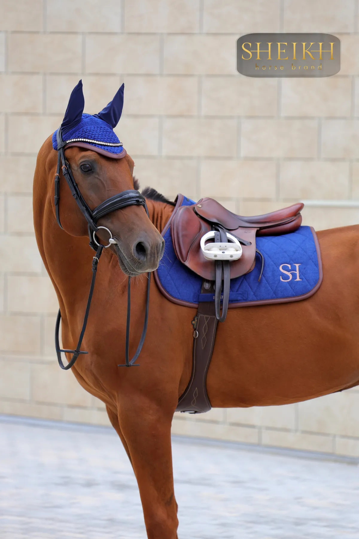 Вальтрап конкурный для верховой езды, конного спорта SHEIKH HORSE BRAND, коллекция FOREST, синий