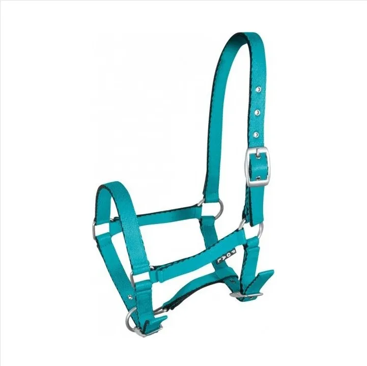 Недоуздок York Tobi для жеребят бирюзовый Foall