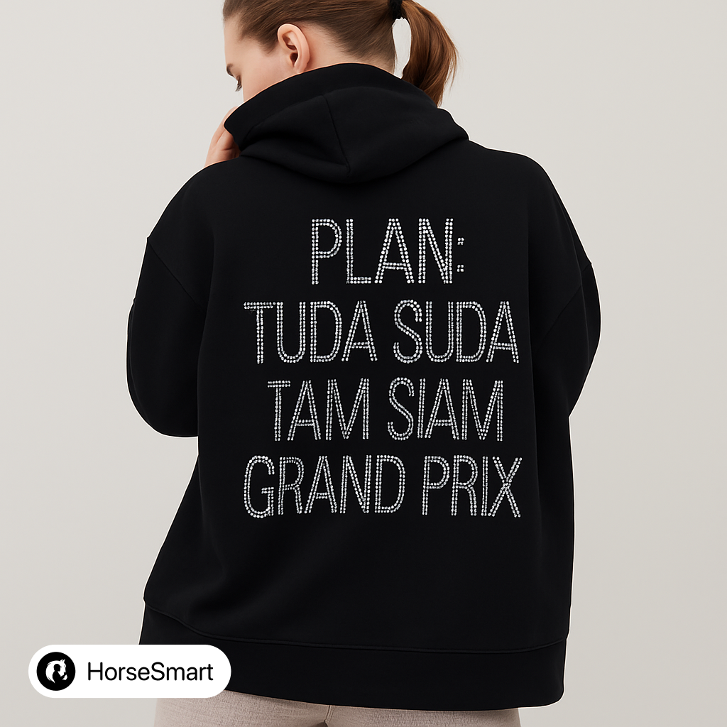 Худи PLAN