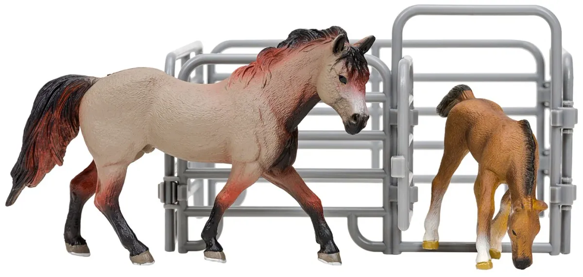 Американская лошадь и жеребенок