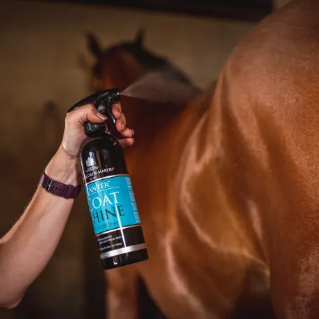Canter Coat Shine