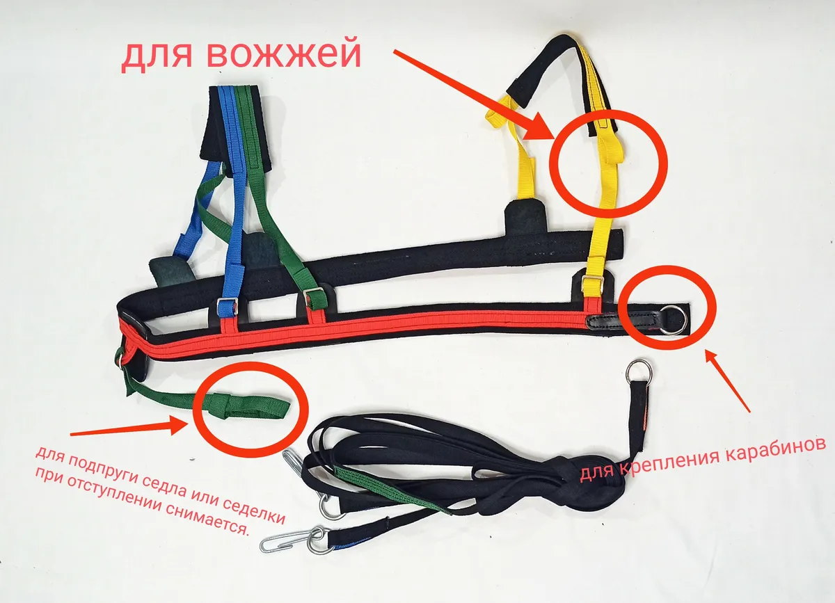 Шлейка для катания на ватрушке для пони и ослика, скиджоринг - разноцветная