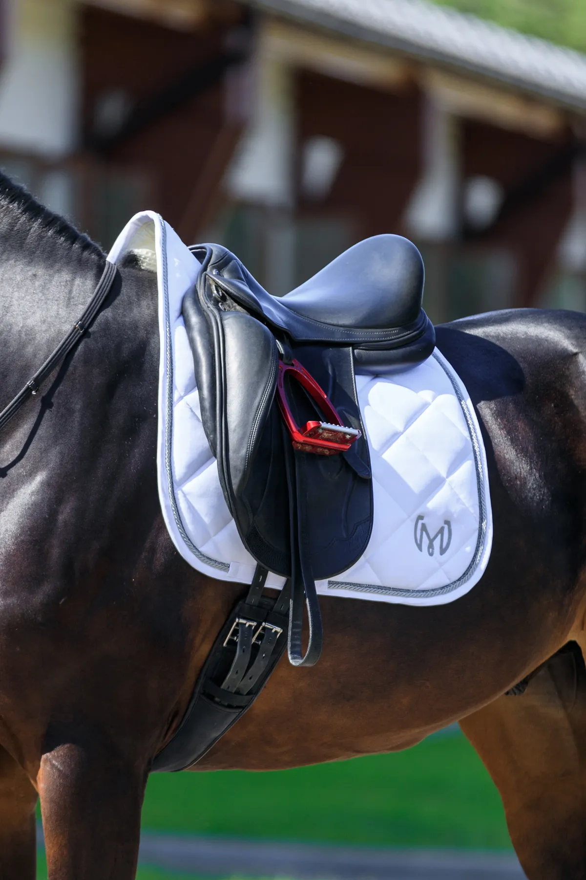 Вальтрап MANIC Акцент