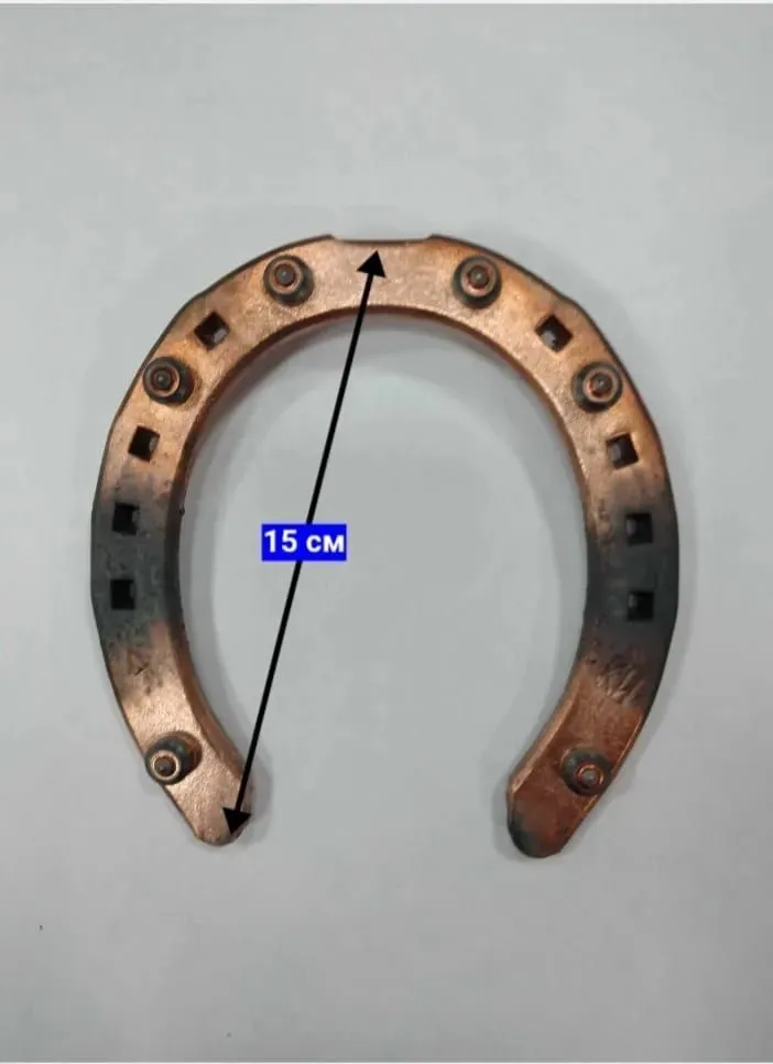 Подкова для прогулок по асфальту, 8*20 mm с 6 шипами, №4, пара