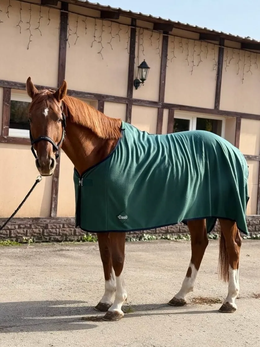 Флисовая попона Daslo 250 гр коричневая 145 см