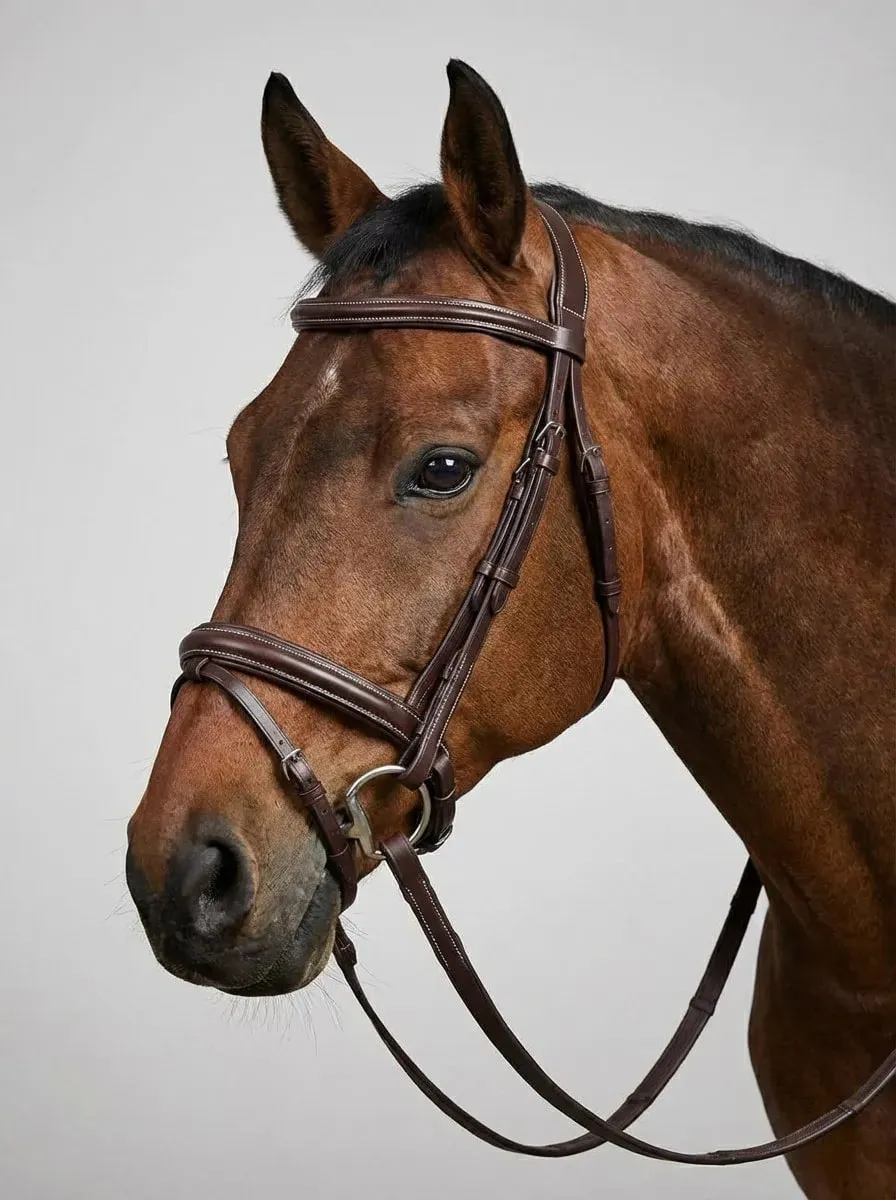 Трензельное оголовье Шарлотта HorsePlanet