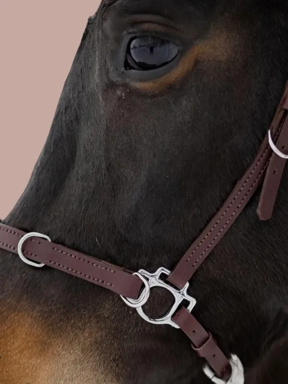 Кавессон Cob - Full