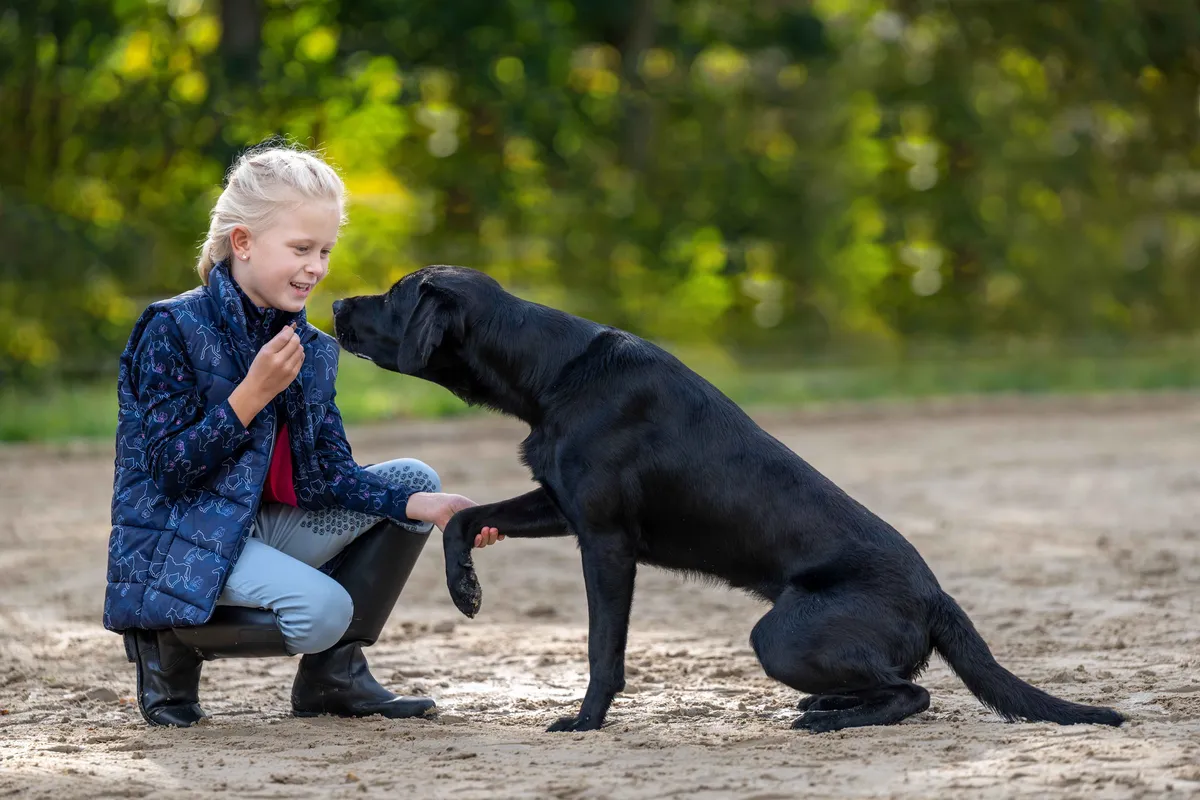 Жилетка детская с лошадками и светоотражающими элементами, размер 146/152 см. цвет темно-синий