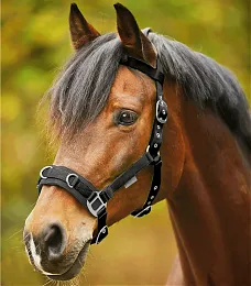 Кавессон нейлоновый, full (красный, full)