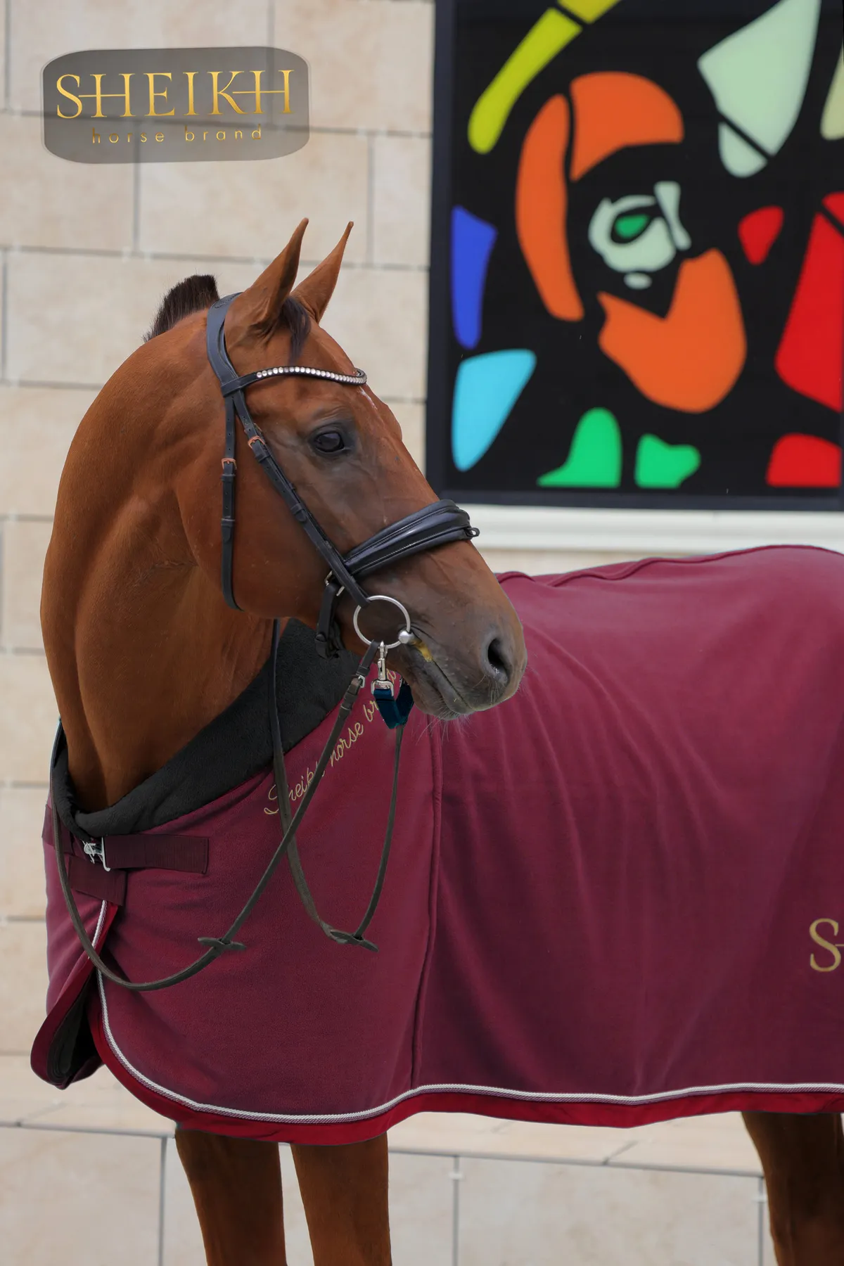 Попона SHEIKH HORSE BRAND, коллекция ORIENTAL, цвет красный, р-р 135