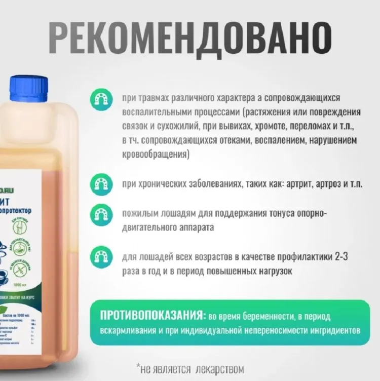 Horse-bio: Хондропротектор Хондрофит ArtroPro для лошадей(без сахара), 1 л.