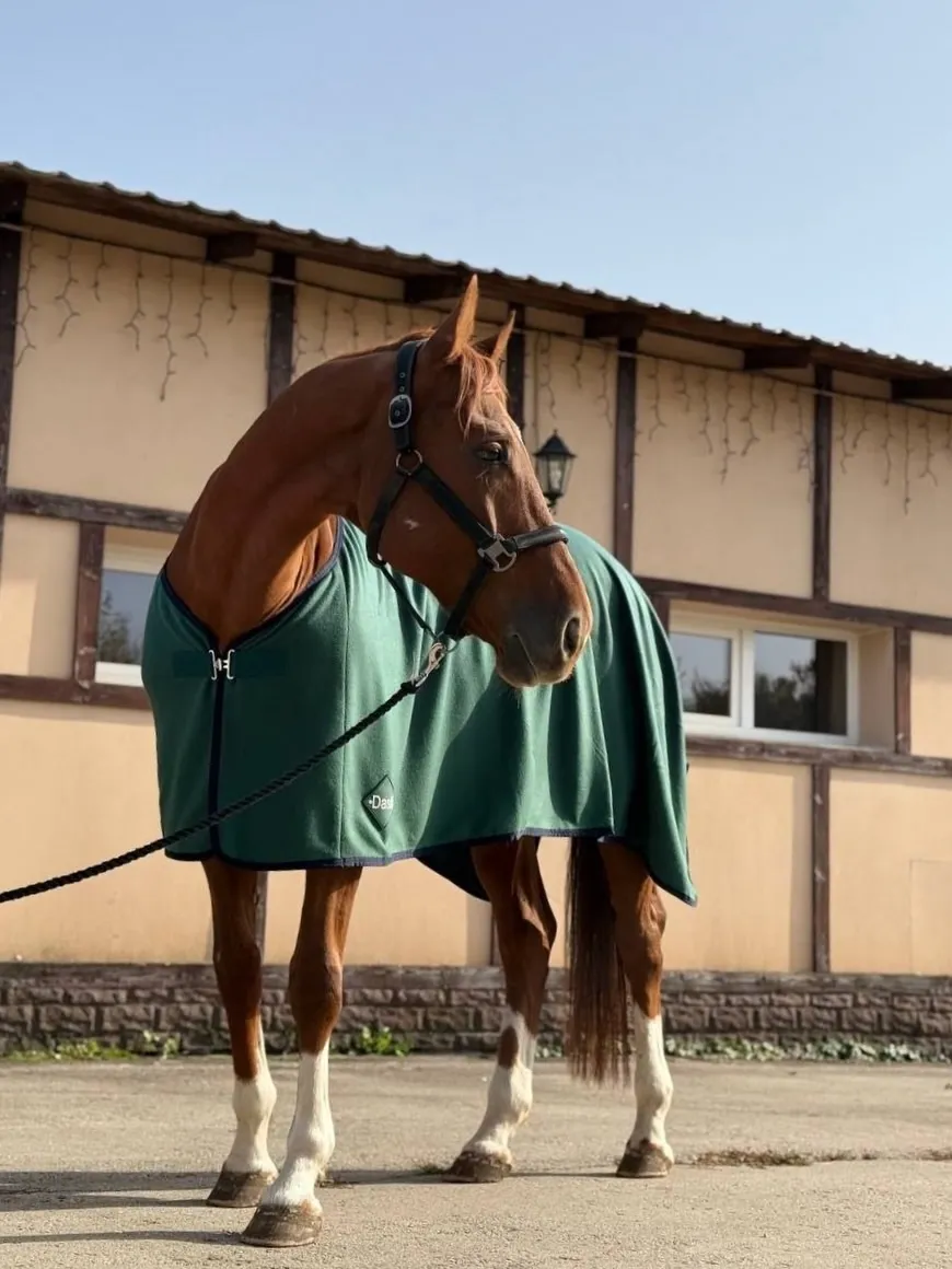 Флисовая попона Daslo 250 гр коричневая 135 см