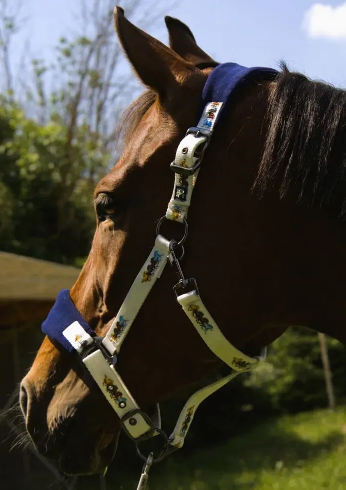 Недоуздок Мелоди HorsePlanet (Pony, Лошадки)