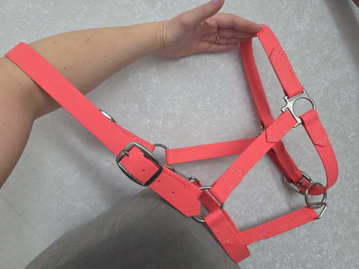 Недоуздок из биотана Full