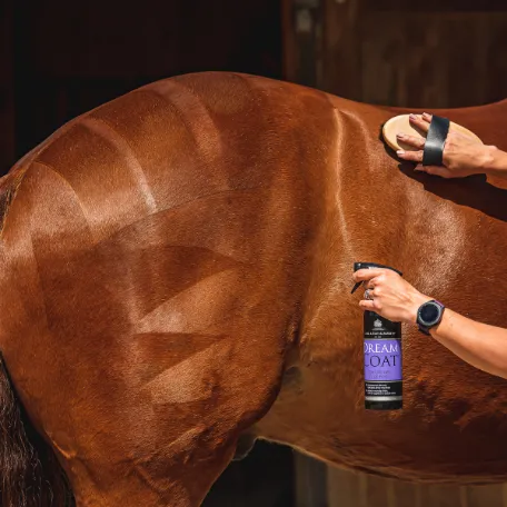 Кондиционер DreamCoat