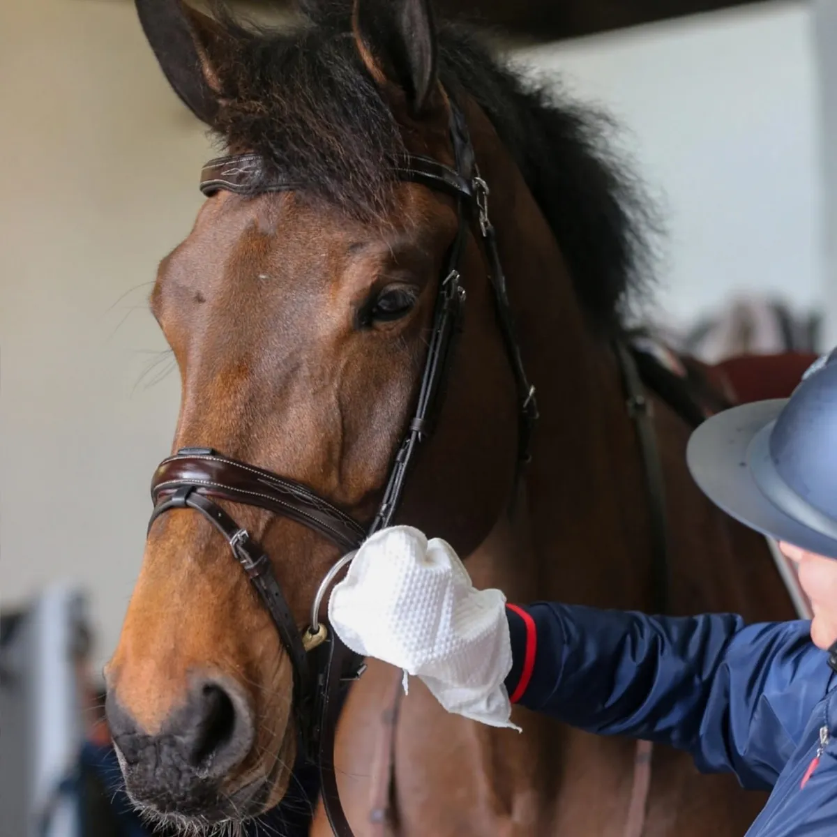 Очищающие рукавицы для амуниции, биоразлагаемые BELVOIR, 10 шт. упк.