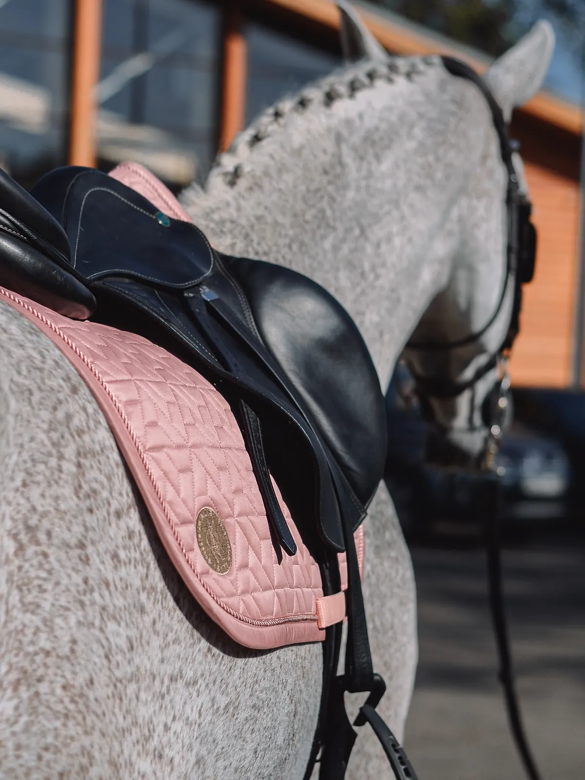 Вальтрап выездковый ALIBI, коллекция Garden 24