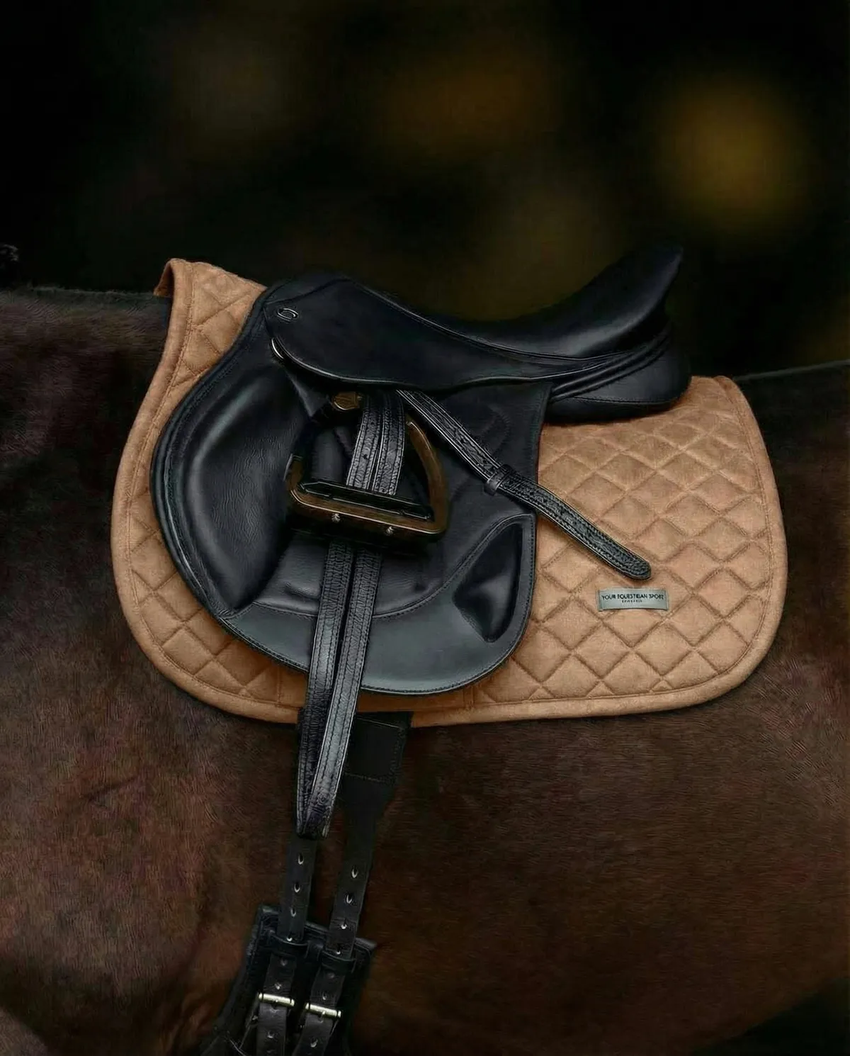 Вальтрап • Weightless • ( Крем | конкур )