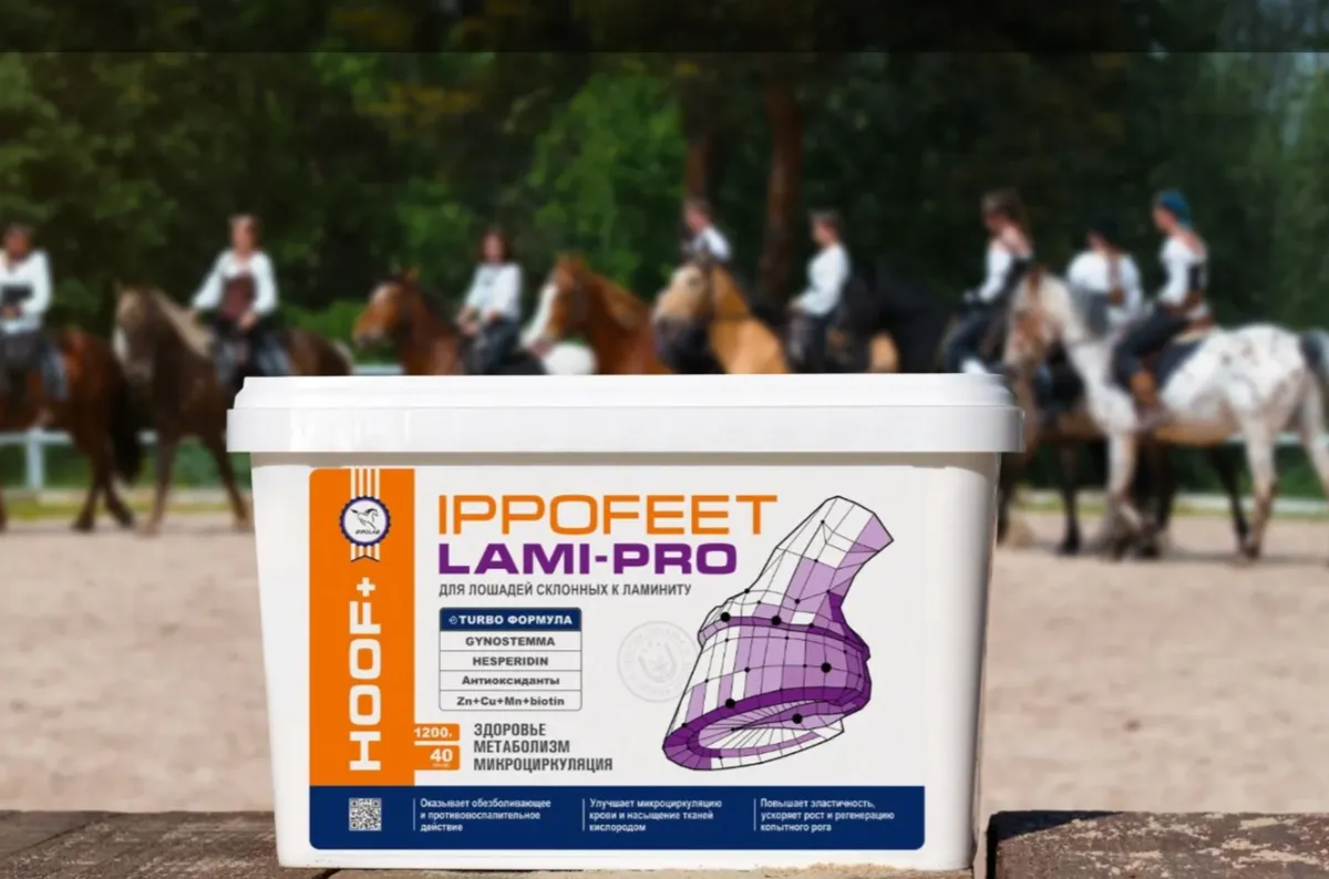 IPPOFEET LAMIPRO для лошадей, склонных к ламиниту