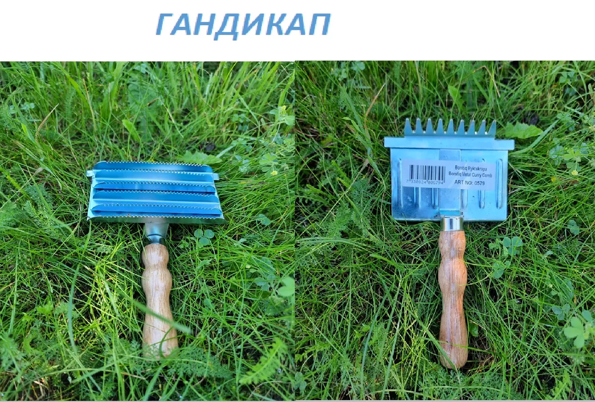 Скребница металлическая крупнозубчатая с деревянной ручкой и гребнем