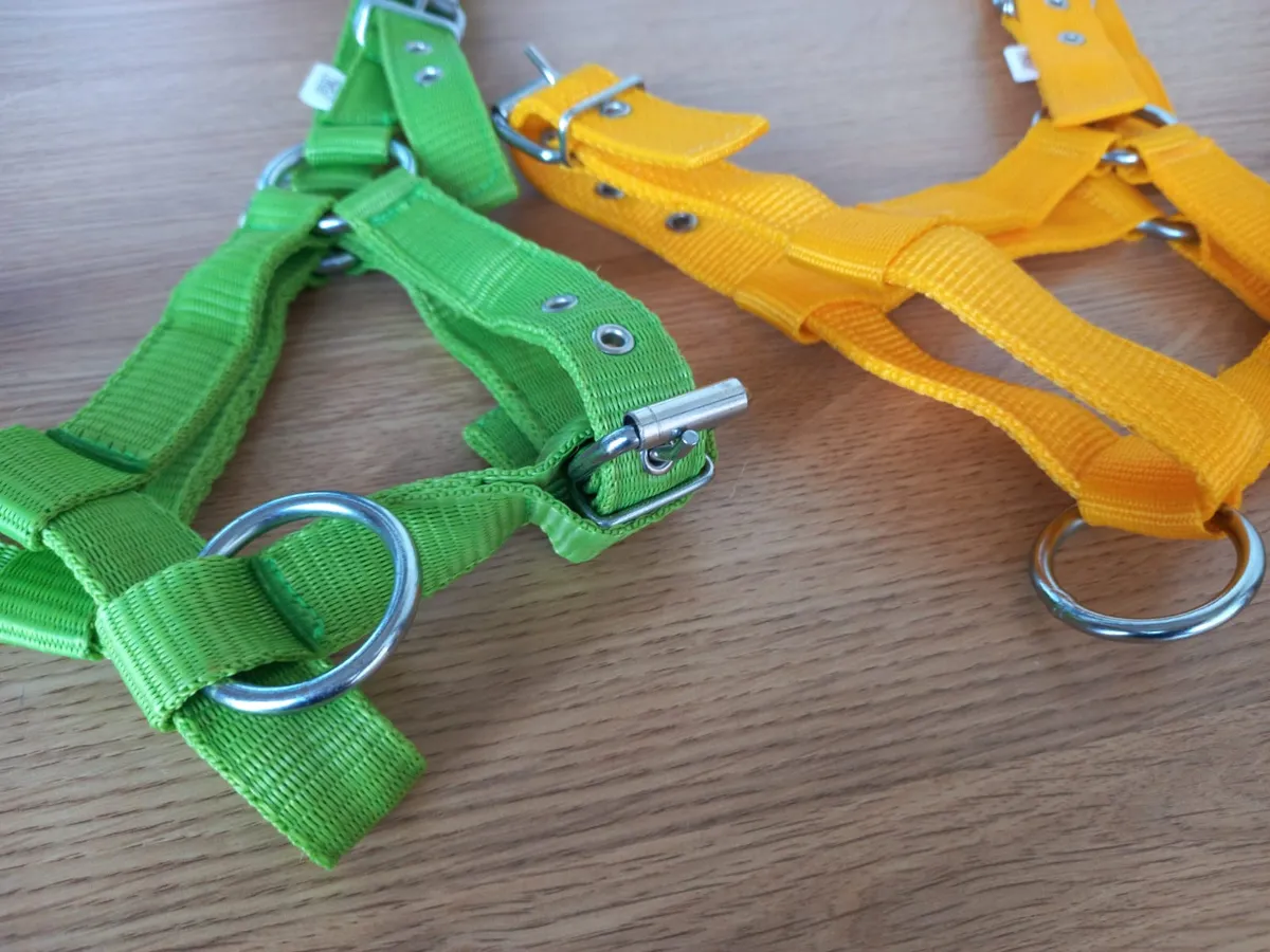 Недоуздок для жеребят зеленый