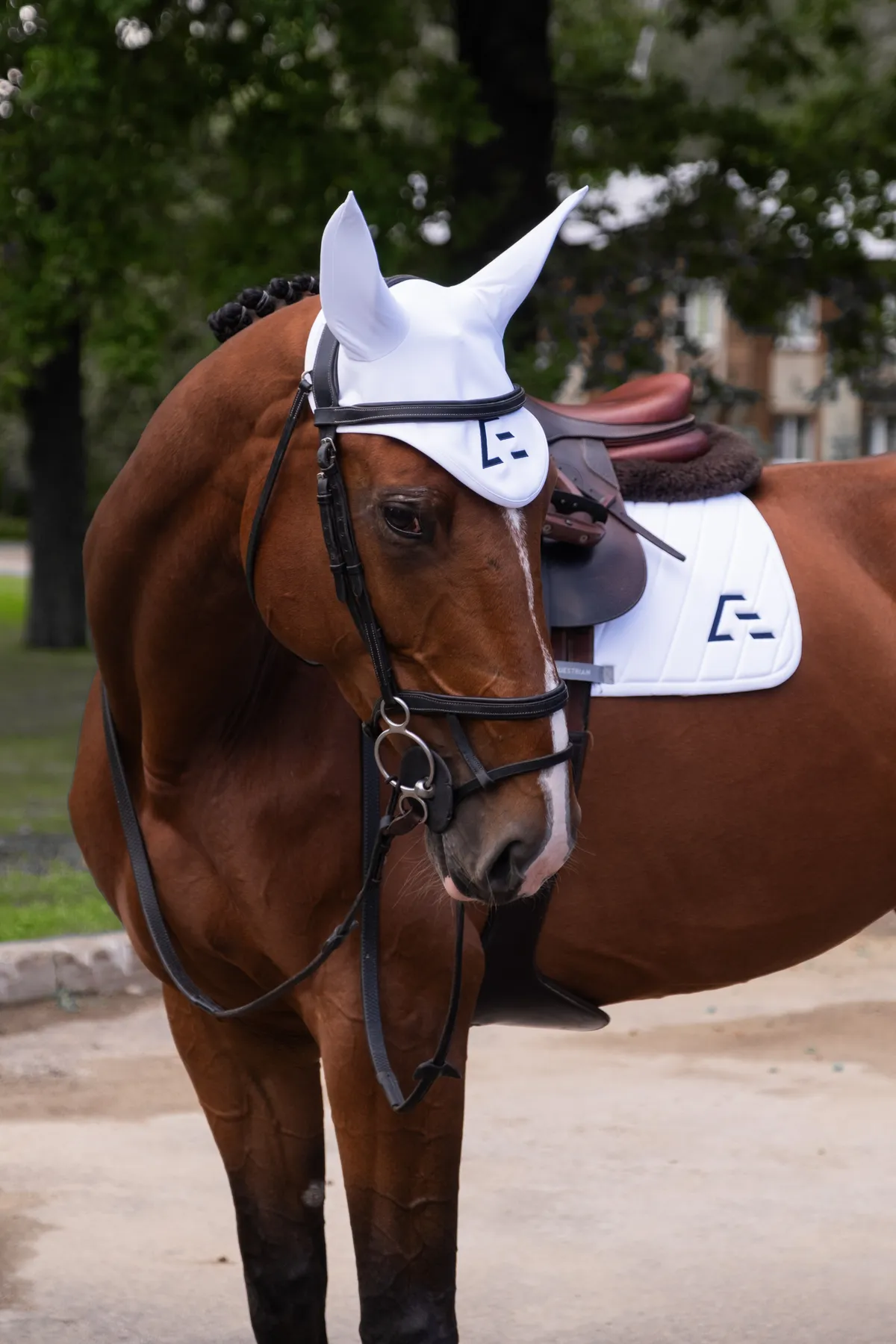 Ушки для лошади ATMO Equestrian (COB, белые)