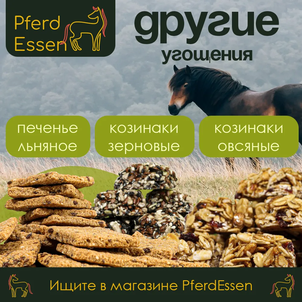 Лизунец (ликит) без сахара PferdEssen (фенхелевый)