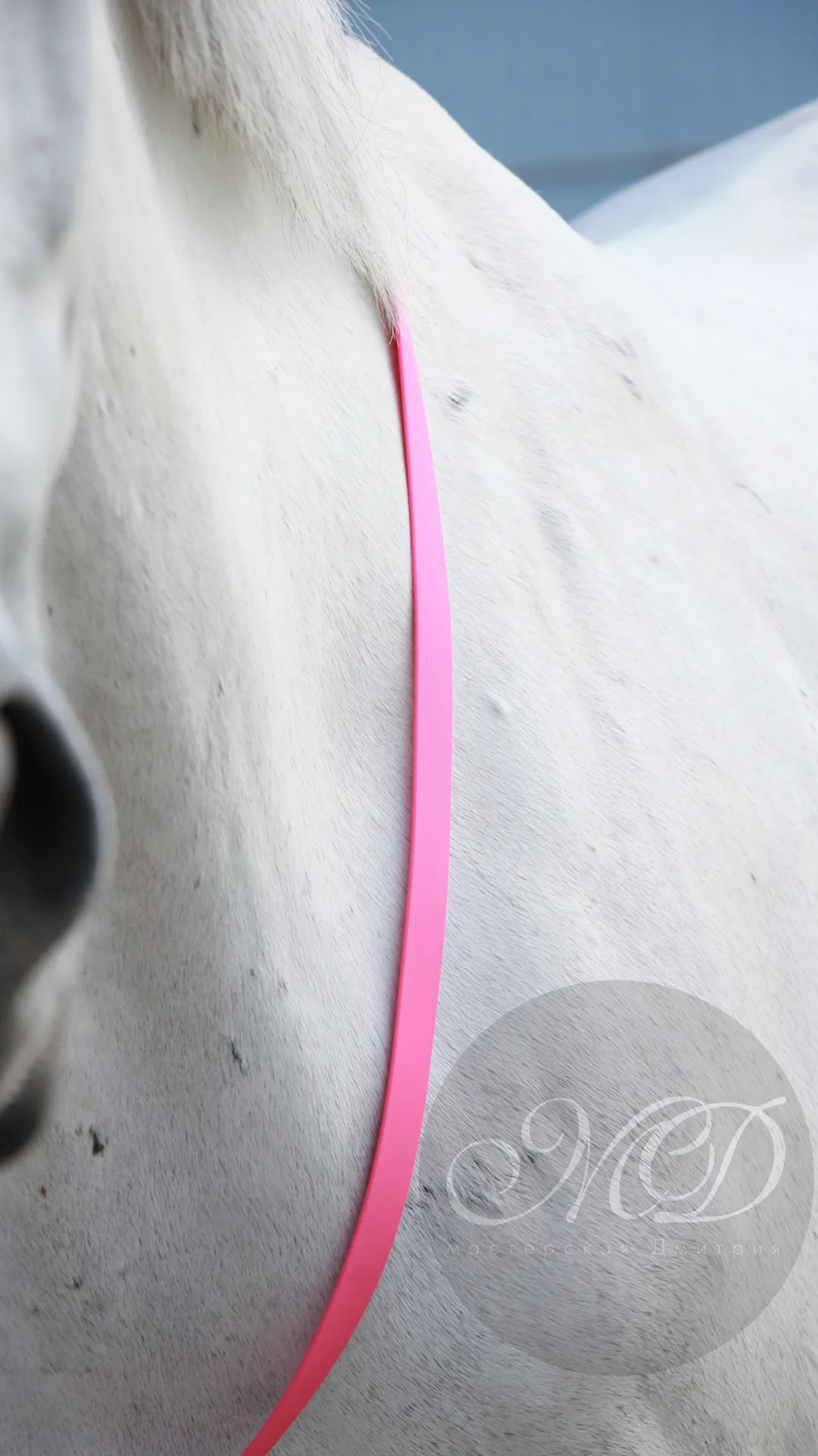 Кордео из биотана 