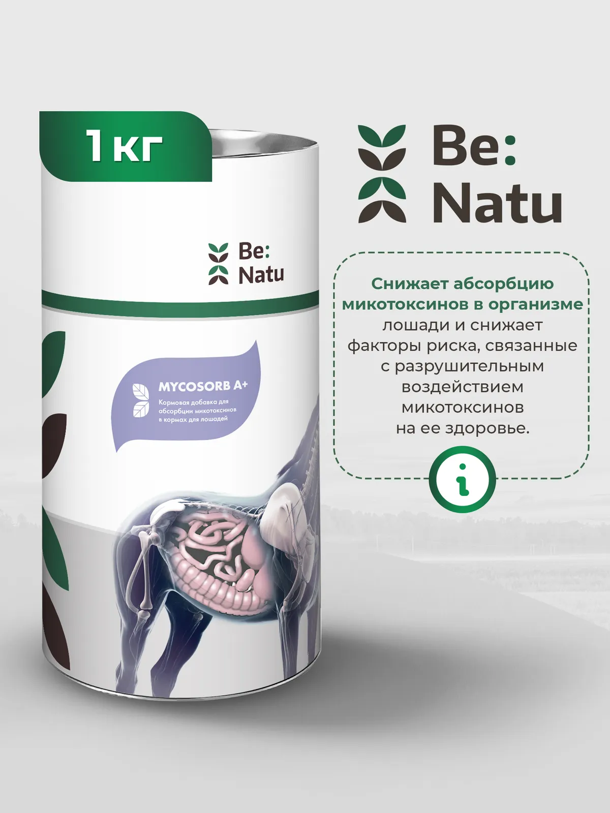 Mycosorb A+ 1кг