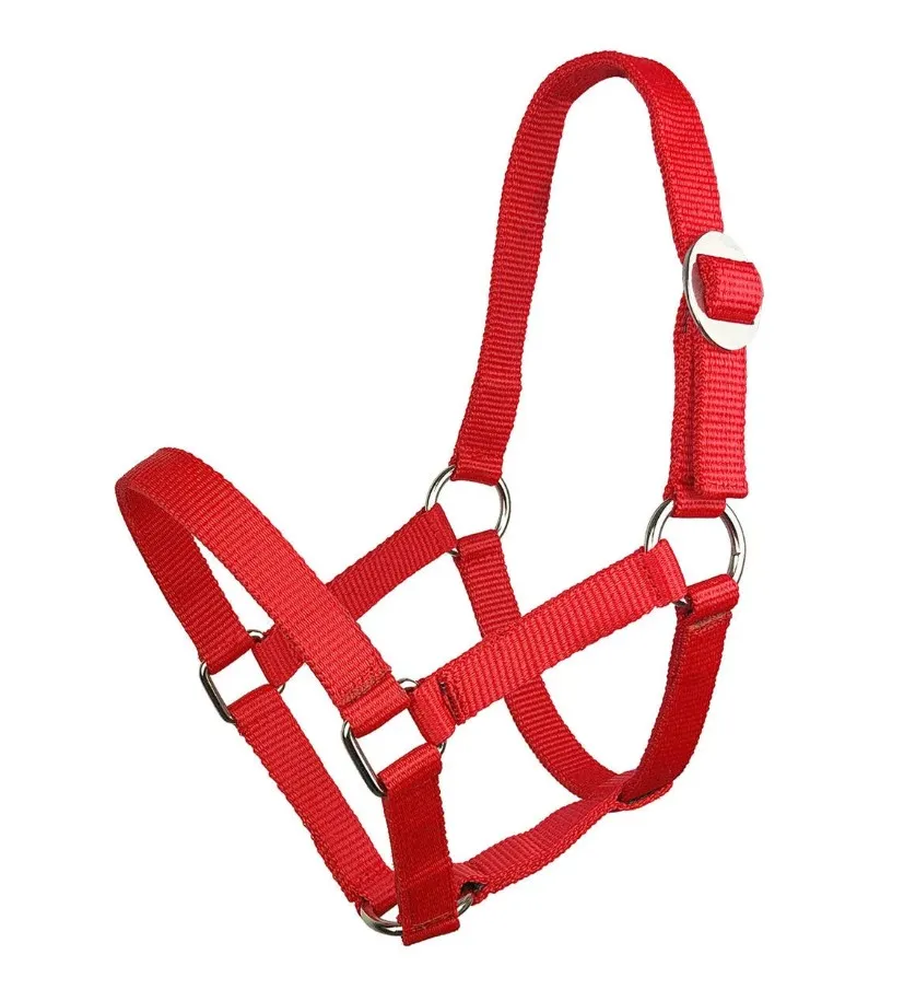 Недоуздок York Shetty красный