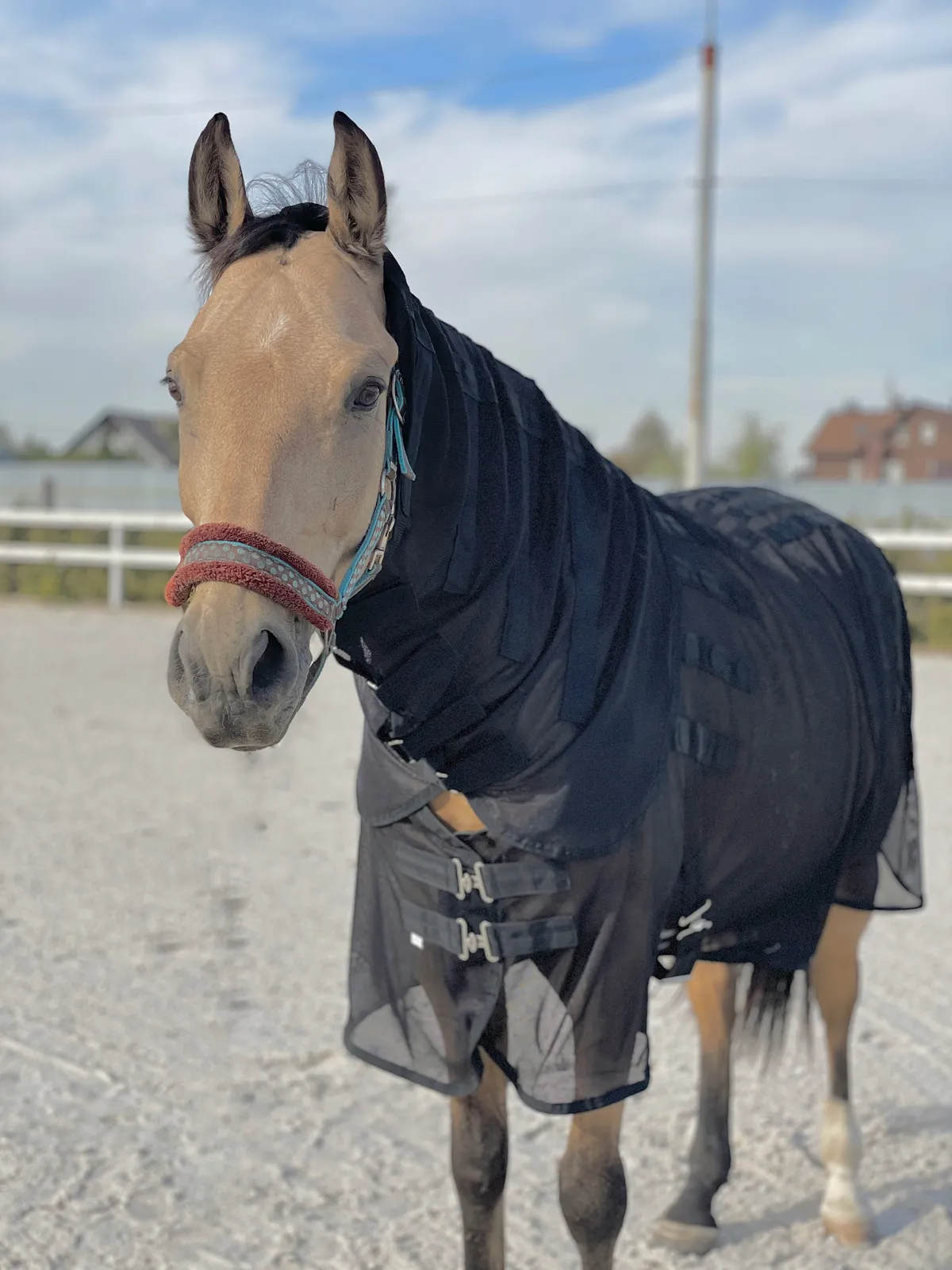 Магнитная попона 155