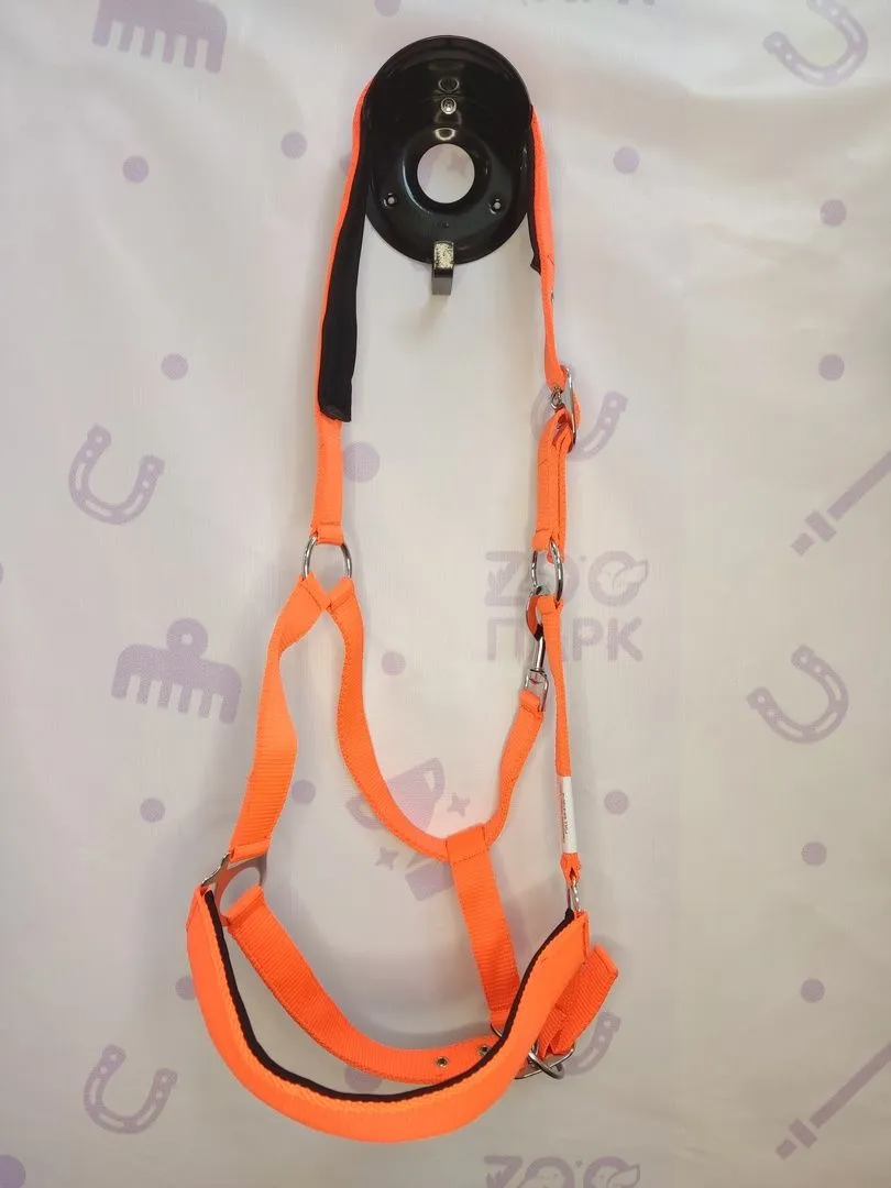 Недоуздок нейлон, неоновый, Full, Оранжевый