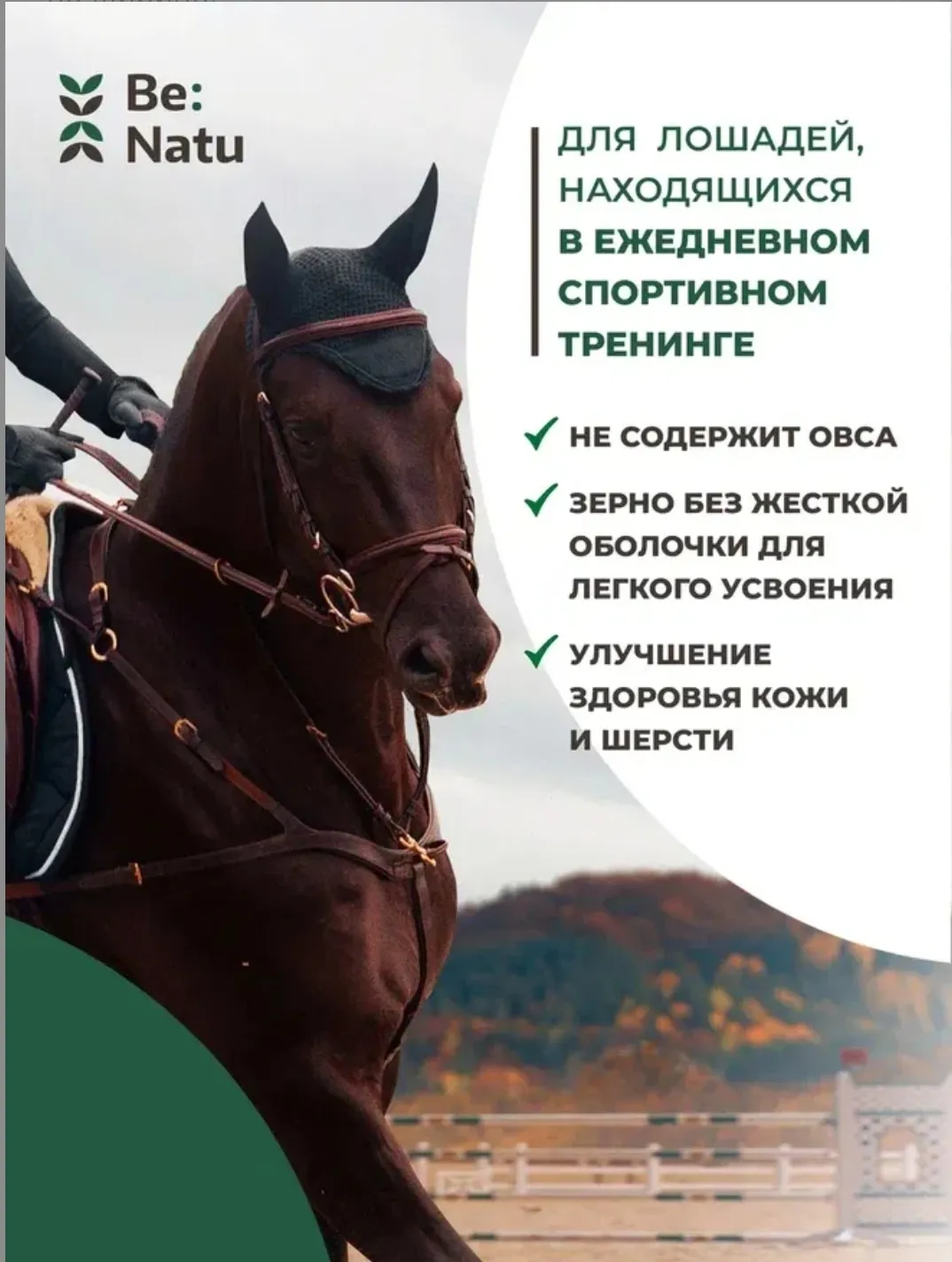 Be:Natu Угощение для спортивных лошадей Pro:sport mix 1 кг.