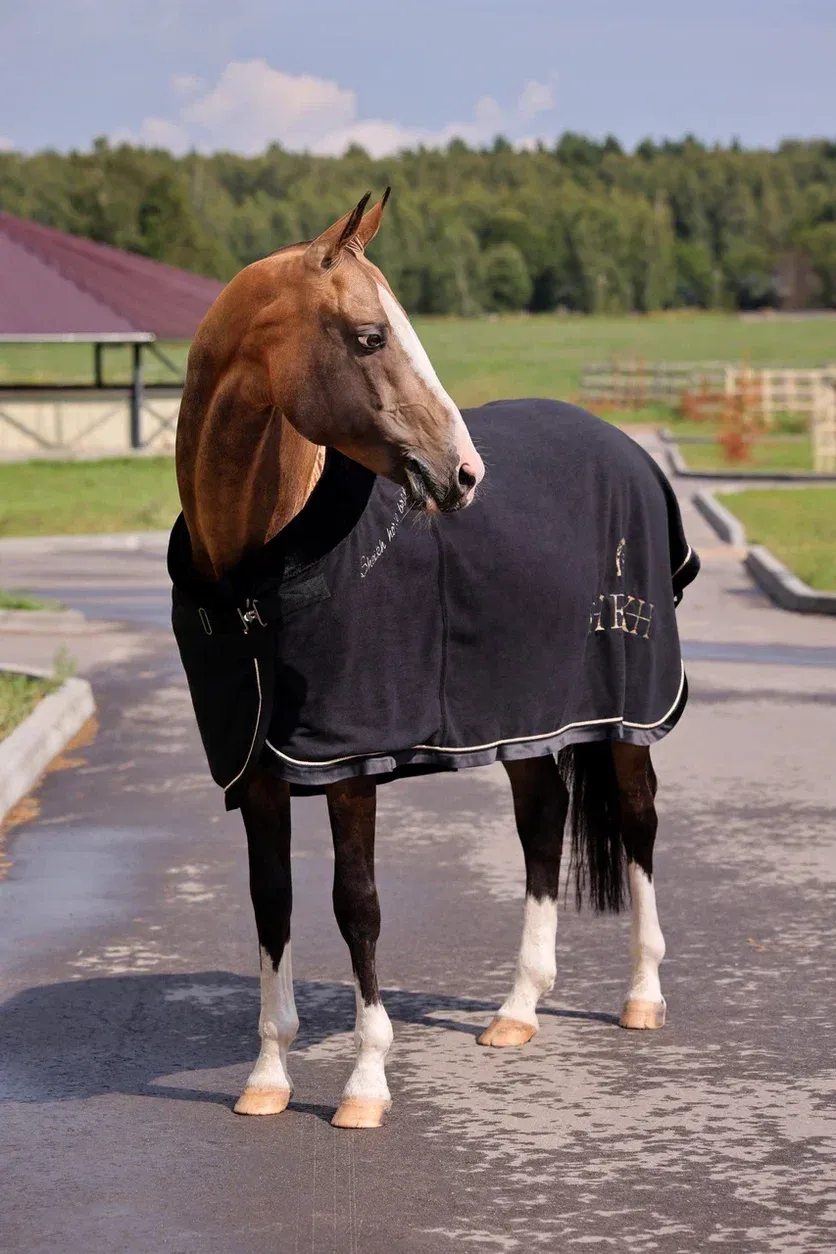 Попона SHEIKH HORSE BRAND, коллекция ORIENTAL, цвет черный, р-р 145