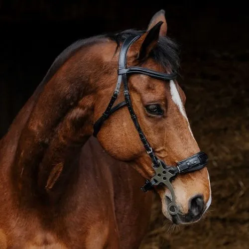 Уздечка с хакаморой NORTON PRO, full