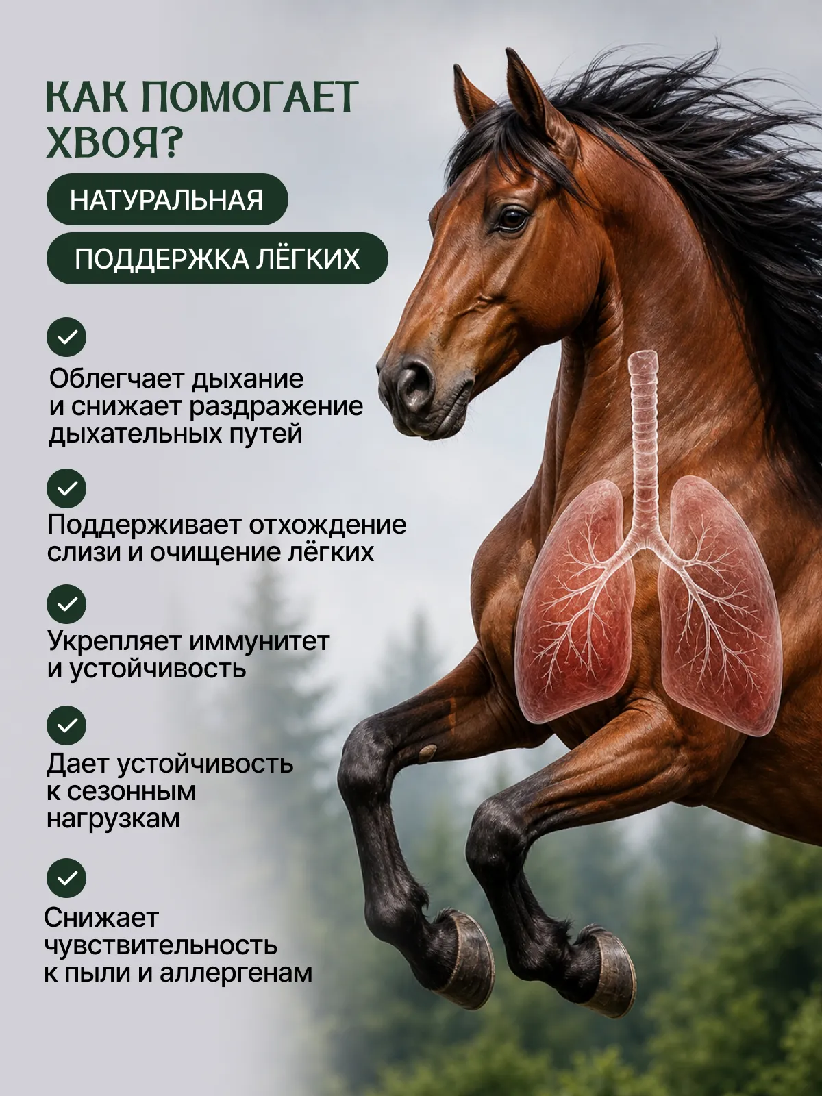 Натуральная кормовая добавка для лошадей "ТАЁЖНАЯ СИЛА"
