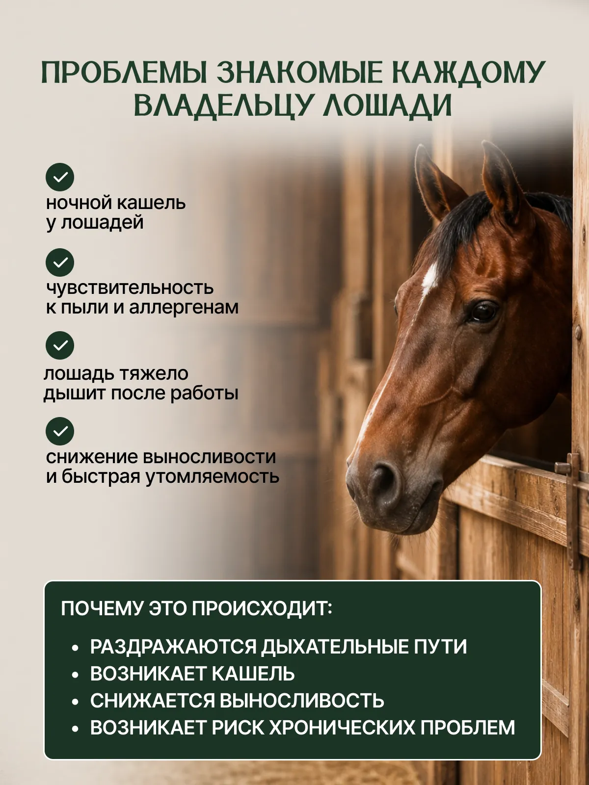 Натуральная кормовая добавка для лошадей "ТАЁЖНАЯ СИЛА"