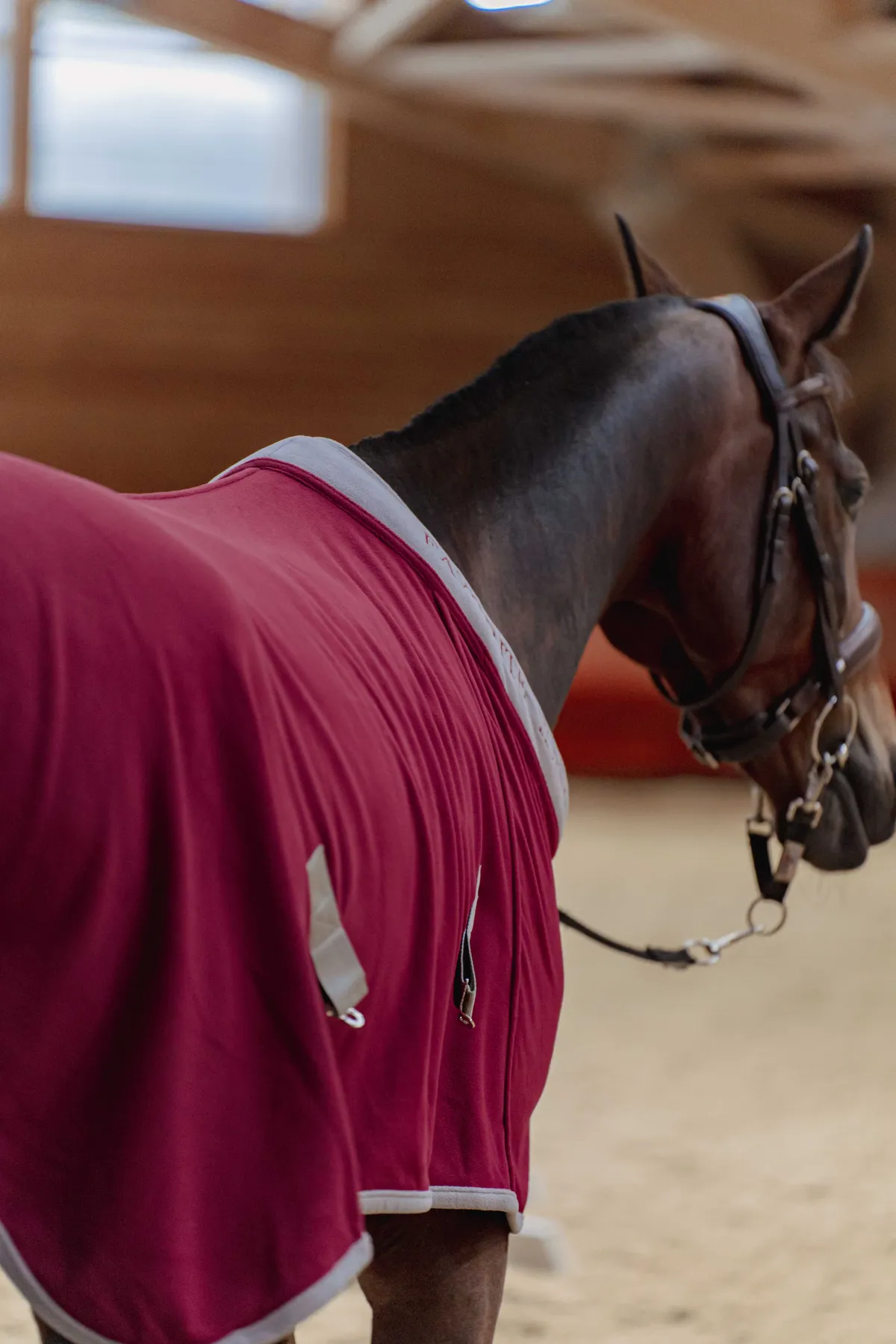 Попона флисовая FAVORITE HORSE Aristocratic (бордовая,145)