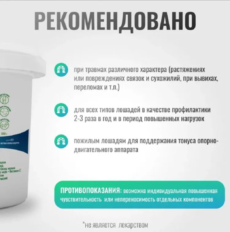 Horse-bio: Хондропротектор Хондро ArtroPro для лошадей, 600 гр.