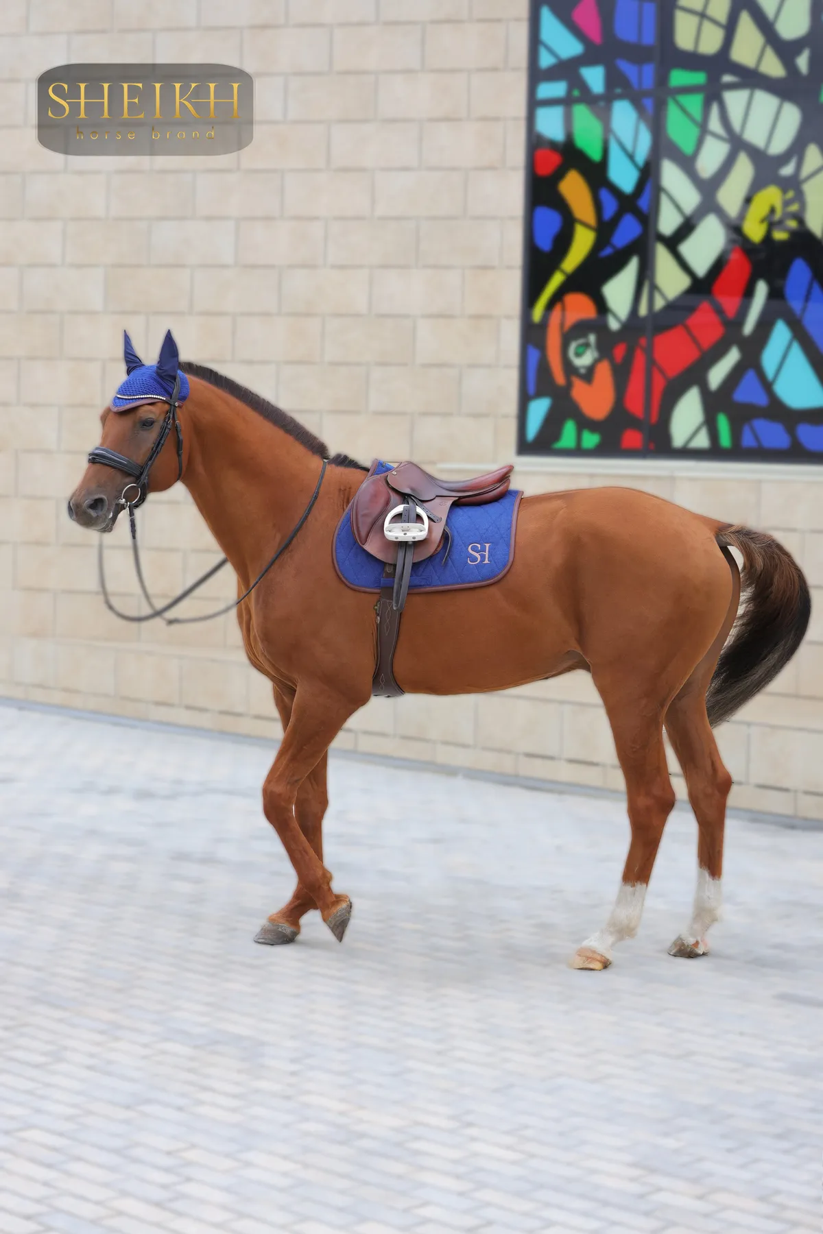 Вальтрап конкурный для верховой езды, конного спорта SHEIKH HORSE BRAND, коллекция FOREST, синий